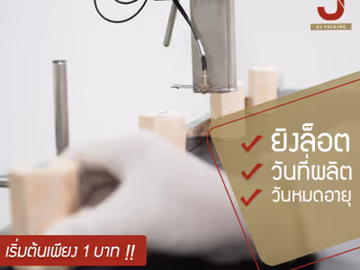 ภาพแกลลอรี่ 6